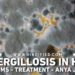 Aspergillosis in Hindi, Aspergillosis Kya Hai, Aspergillosis Symptoms in Hindi, Aspergillosis Ke Lakshan, Aspergillosis Se Bachne Ke Tarike, Aspergillosis Treatment, Aspergillosis Ka Ilaaj, Aspergillosis Kaise Hota Hai